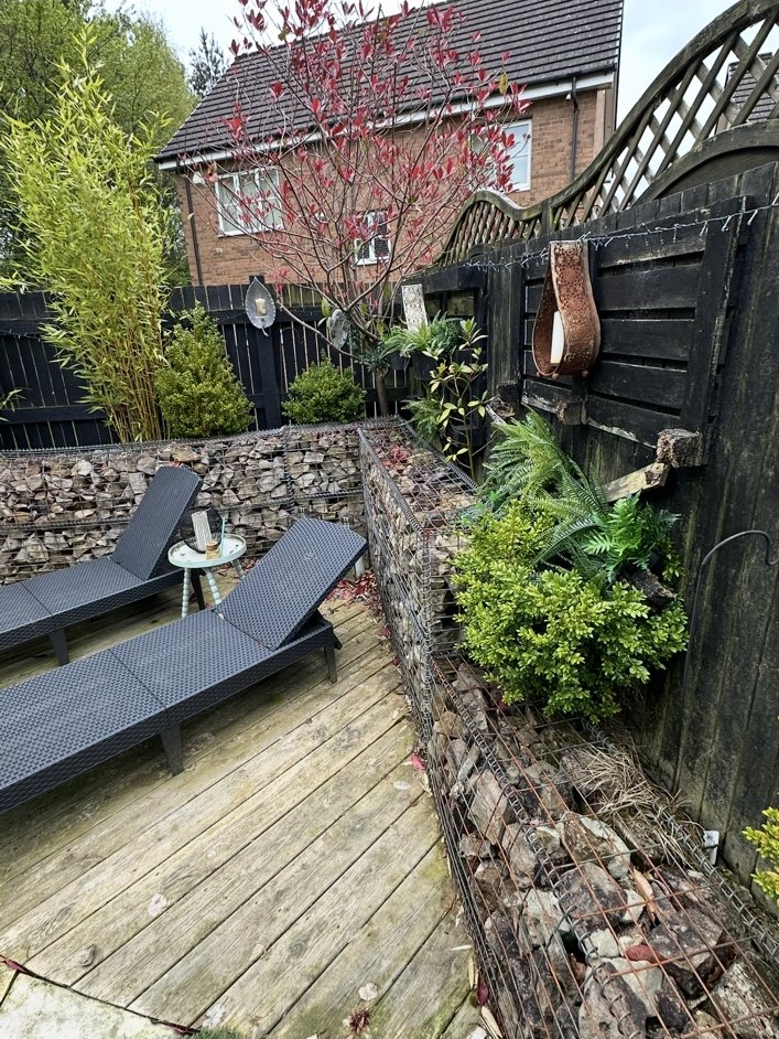 Stepps: Before · lawn and planting